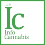 InfoCannabisThumbnail Image