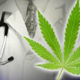 Florida Medical Marijuana DoctorsThumbnail Image