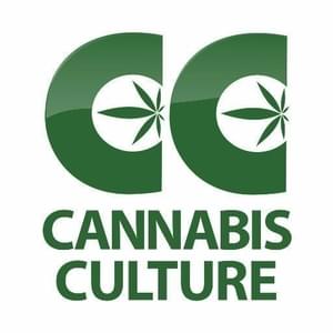 Cannabis CultureThumbnail Image
