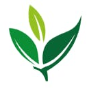 Green Zone TherapyThumbnail Image