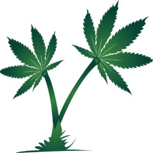 Oasis Healing CenterThumbnail Image