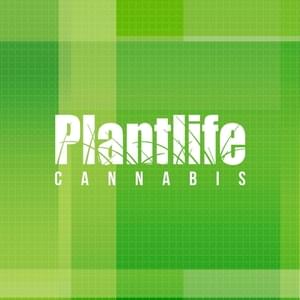 Plantlife - Spruce GroveThumbnail Image