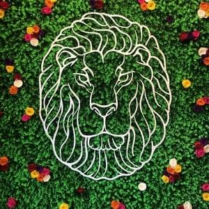 Lucky LionThumbnail Image