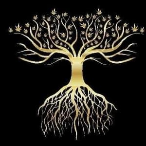 OAK LEAF FINE CANNABIS CO.Thumbnail Image