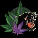 Fighting FlowerThumbnail Image