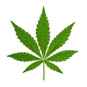 Cannabis Doctors US - St. CharlesThumbnail Image