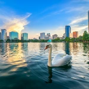 Cannabis ConsultantsThumbnail Image