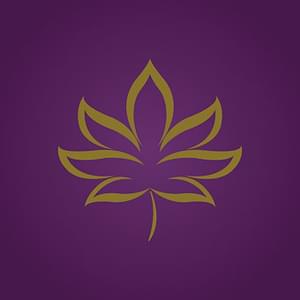 DC Holistic WellnessThumbnail Image