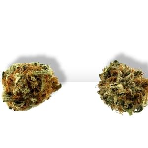 Nature's MedicinesThumbnail Image