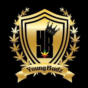Young Budz Premium Medical Cannabis Co.Thumbnail Image