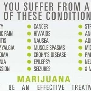 MMJ DoctorThumbnail Image