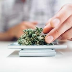 Florida Healing ConnectionThumbnail Image