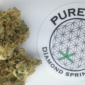 Pure Life CollectiveThumbnail Image