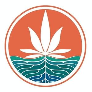 Cali Roots - EdmondThumbnail Image