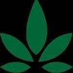 Prairie Cannabis - Prince AlbertThumbnail Image