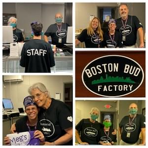 Boston Bud FactoryThumbnail Image