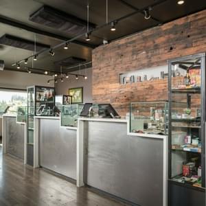 The Novel TreeThumbnail Image