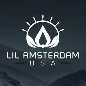 Lil Amsterdam USAThumbnail Image
