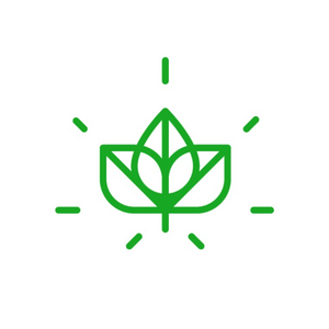 Aloha Green Apothecary WaikikiThumbnail Image