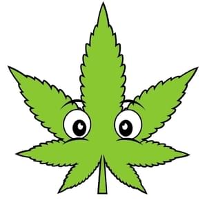 Buddies Cannabis Co. - MooreThumbnail Image