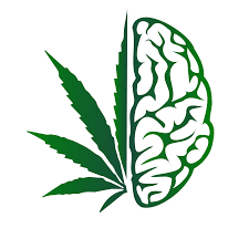 Elevated Minds Cannabis Shop | Stoney Creek