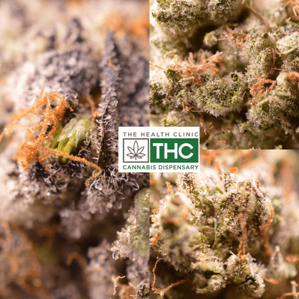 The Health Clinic (THC)