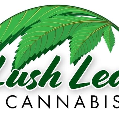 Lush Leaf Cannabis