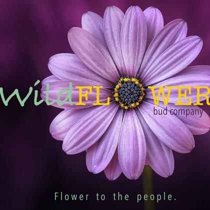 Wild Flower Bud Company