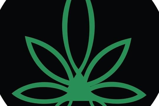 The Shore Cannabiz Shop