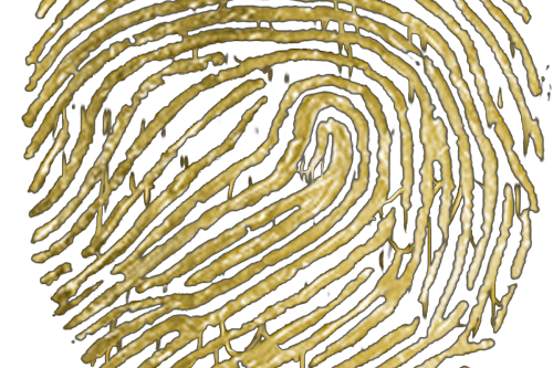 Sticky Thumb - East Bay