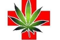 Inland Empire Cannabis Consultants