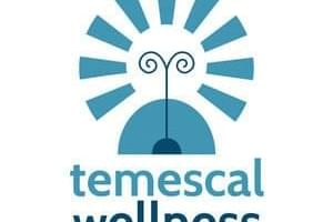 Temescal Wellness - Framingham