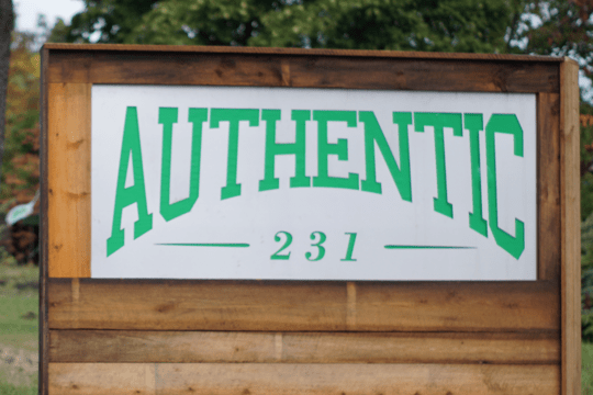 Authentic 231