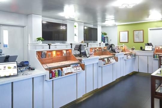 Berkeley Patients Group