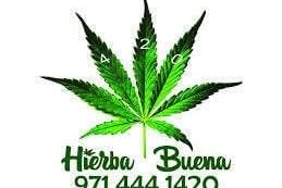 Hierba Buena