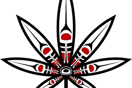 The Kure Cannabis Society - Chilliwack