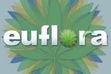 Euflora - Buckley