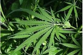 South Sacramento Care Center