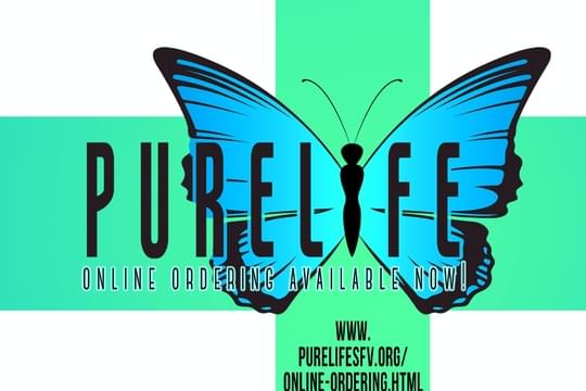 PureLife Alternative Wellness Center