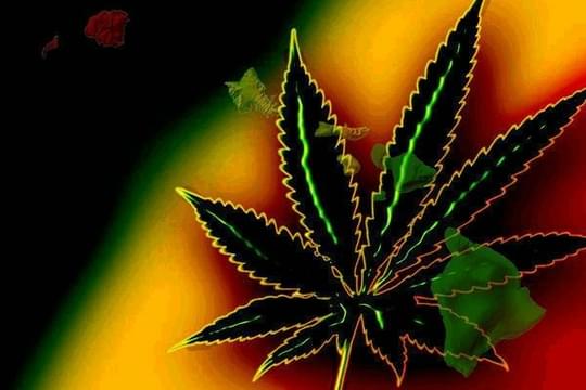 Green Gold Cultivators