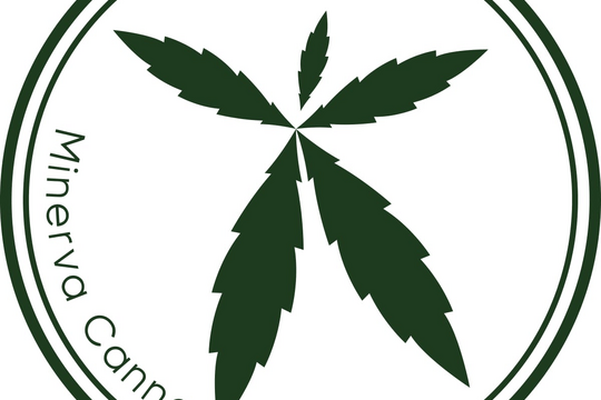 Minerva Canna of Grove