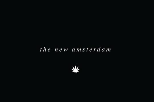 The New Amsterdam