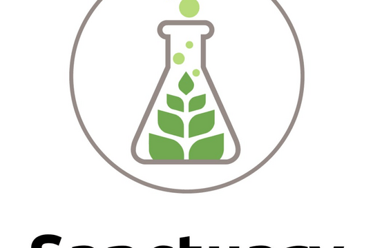 Sanctuary Medicinals - Danvers