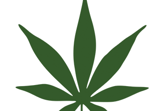 Mount Vernon Cannabis