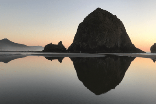 Five Zero Trees Cannon Beach