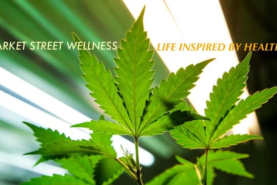 Market Street Wellness