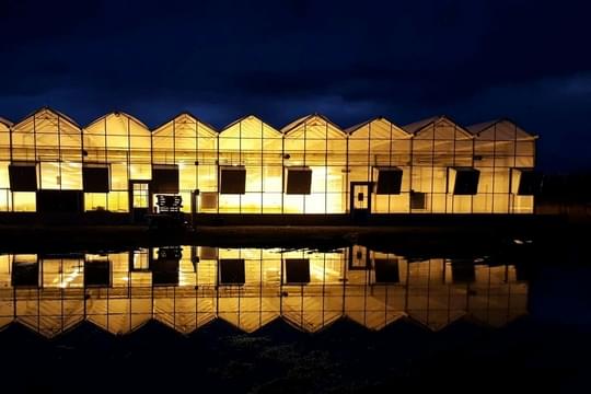 Quality Choice Dispensaries