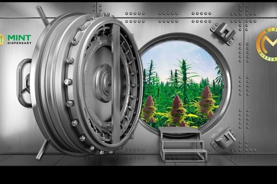 The Mint Dispensary - Mesa