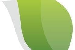 Alternative Therapies Group - Amesbury