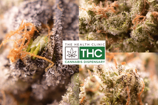 The Health Clinic (THC)